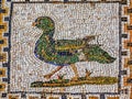 Colorful Ancient Duck Bird Mosaic Italica Roman City Seville Spain