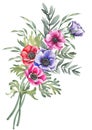 Colorful anemone flowers and green branches arrangement.