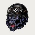 Colorful angry biker gorilla head