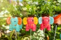 Colorful animal ceramic doll hanging in the garden.