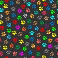 Colorful animal paw prints seamless pattern