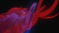 Colorful animation of of reflecting 3d neon waves interweaving in rotation on the dark background. Animation. Colorful