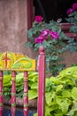 Colorful Antique Chair