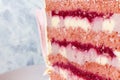 Colorful, appetizing, bright, delicious, biscuit layers with custard and raspberry jam, DIY concept