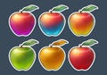 Colorful apple sticker set icon