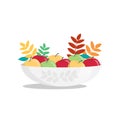 Colorful apples in white bowl with rowan leaves