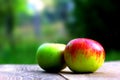 Colorful apples on wooden desk board with copyspace for you text or logo. Royalty Free Stock Photo