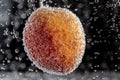 Colorful apricot is immersed in water and covered in bubbles Royalty Free Stock Photo