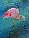 Pink flamingo bird Palm Desert Marriott