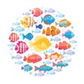 Colorful aquarium fish set in circle vector . Tropical fishes collection Royalty Free Stock Photo