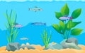 Colorful Cartoon Aquarium Fishes Set Promo Poster