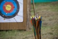 Archery arrows in close up and target board Royalty Free Stock Photo