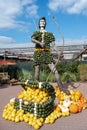 Robin Hood made of olorful pumpkins in different shape, sizes and colors. Green, yellow and orange pumpkins built a statue