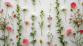 Colorful Array of Fresh Spring Flowers Laid Out in Rows on a Pristine White Background for Design