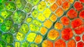 A colorful array of plant cells each with its own unique arrangement of green yellow orange and red structures creating