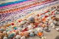 colorful array of seashells on beachcombers' blanket Royalty Free Stock Photo
