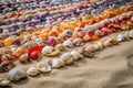 colorful array of seashells on beachcombers' blanket Royalty Free Stock Photo