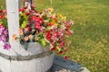 Colorful artificial flowers