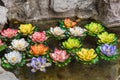 Colorful artificial lotus in the in the pond Royalty Free Stock Photo