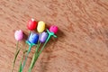 Colorful artificial tulips flower made from silk cocoon