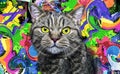 Colorful artistic cat muzzle with bright paint splatters on dark background