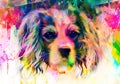 Colorful artistic dog muzzle isolated on white background