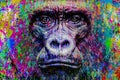 Colorful artistic gorillas monkey muzzle with bright paint splatters on abstract background