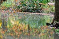 Colorful abstract water reflection of fall autumn leaves branches trees in still glassy pond surface