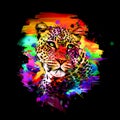 Colorful artistic leopard muzzle with bright paint splatters on dark background