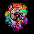 Colorful artistic leopard muzzle with bright paint splatters on dark background