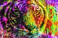 Colorful artistic lion muzzle with bright paint splatters color art