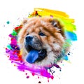 Colorful artistic lion muzzle with bright paint splatters on dark background.