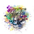 Colorful artistic tiger  muzzle with colorful paint splatters on white background. Royalty Free Stock Photo