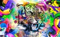 Colorful artistic tiger  muzzle with colorful paint splatters on white background. Royalty Free Stock Photo