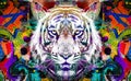 Colorful artistic tiger muzzle with colorful paint splatters on white background.