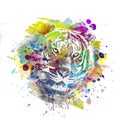 Colorful artistic tiger  muzzle with colorful paint splatters on white background. Royalty Free Stock Photo