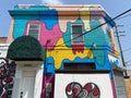 Colorful Artwork House in Washington DC