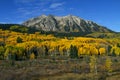 Colorful Aspen in the Rocky Mountains of Colorado Royalty Free Stock Photo