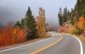 Colorful Aspen trees by Scenic Mt Evans road in Colorado