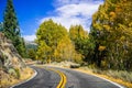 Colorful aspen trees on the side of the road; California