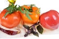 Colorful assortment of fresh  tomatoes ,basil,olive oil Royalty Free Stock Photo