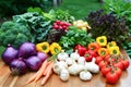 A colorful assortment of fresh vegetables Royalty Free Stock Photo