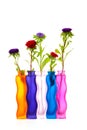 Colorful Asters flowers in vases