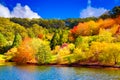 Colorful Australian autumn in Adelaide Hills