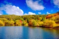 Colorful Australian autumn in Adelaide Hills