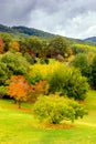 Colorful Australian autumn in the hills