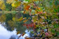 colorful autumn around the pond, autumn pond, autumn colors, reflections on the pond surface Royalty Free Stock Photo