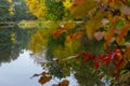 colorful autumn around the pond, reflections on the pond surface, autumn colors Royalty Free Stock Photo