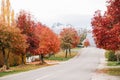 Arrowtown, New Zealand Royalty Free Stock Photo