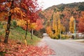 Arrowtown, New Zealand Royalty Free Stock Photo